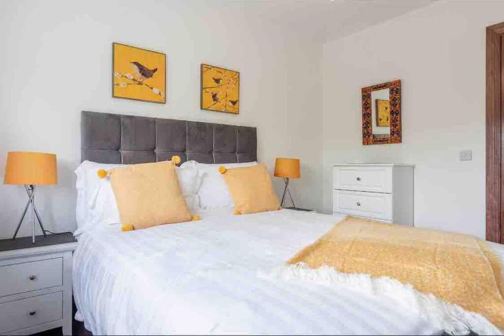 Wonderful Coastal Home In Dingle Town מראה חיצוני תמונה